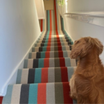 Image of alternative flooring minnis carpet